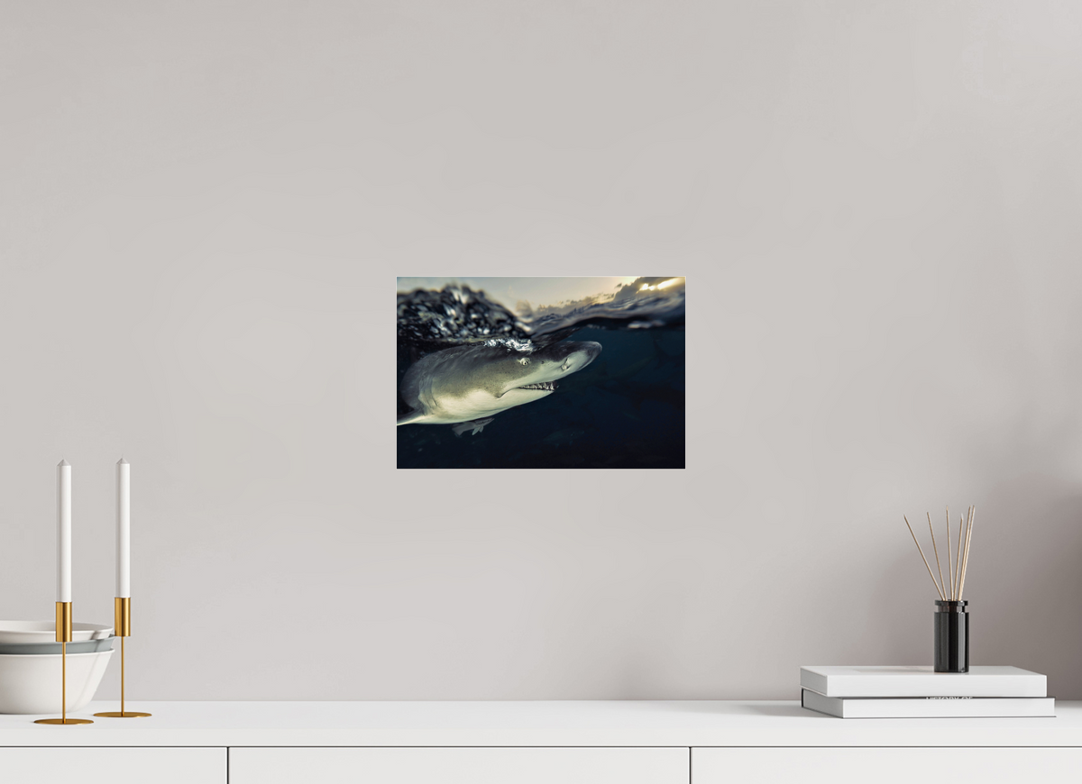 30 x 20 cm, Photo Print Under Acrylic Glass Bahamas Spirit