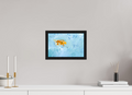 30 x 20 cm, Floater Frame Bleaching