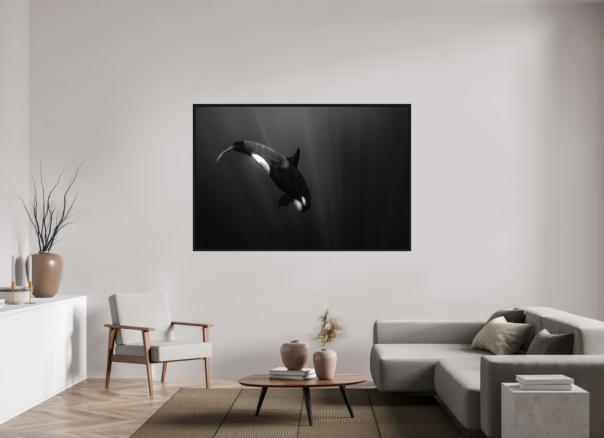 180 x 120 cm, Floater Frame My beautiful Darkness