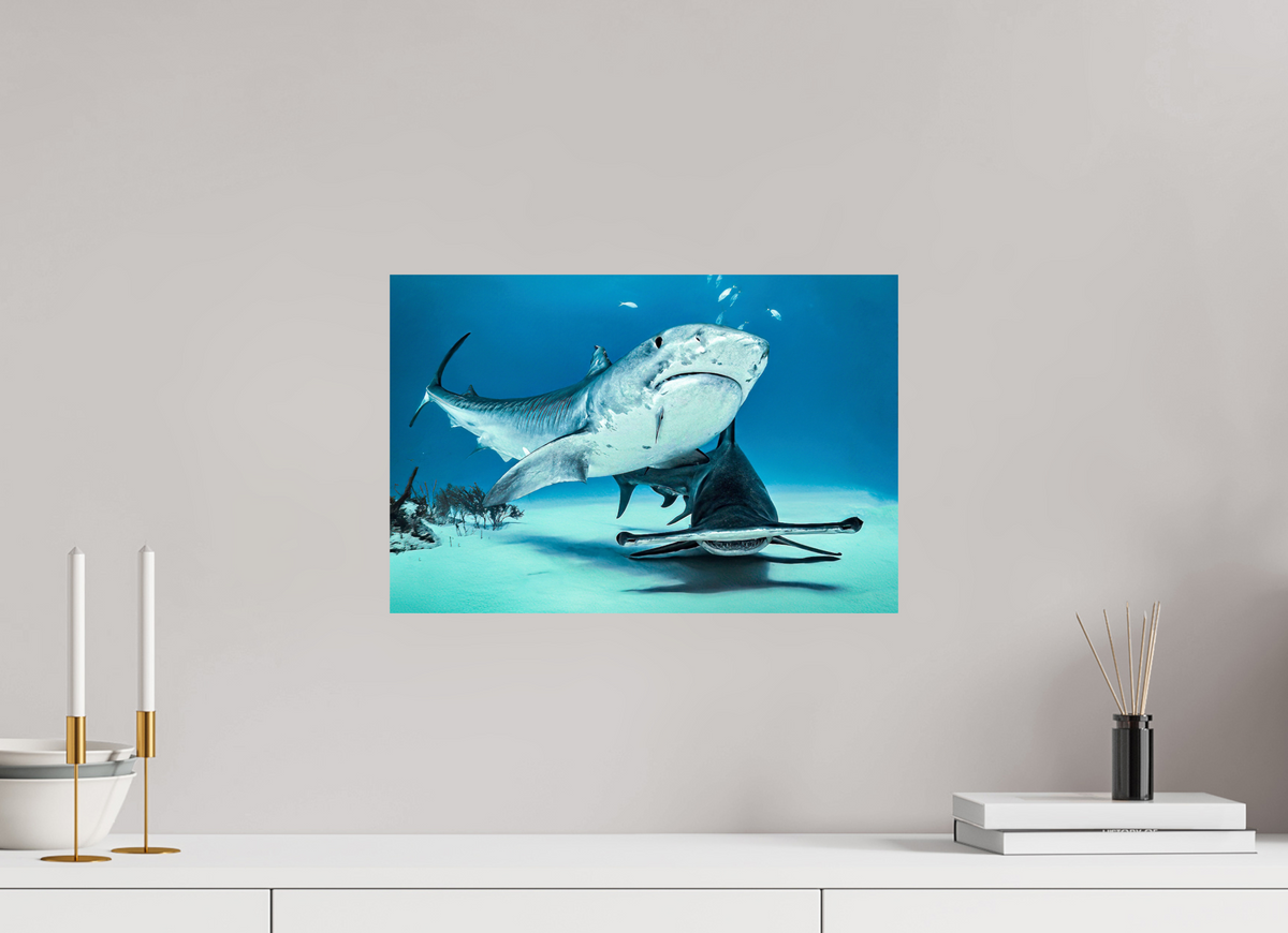 45 x 30 cm, Photo Print On Fuji Crystal DP II Two queens for a Kingdom