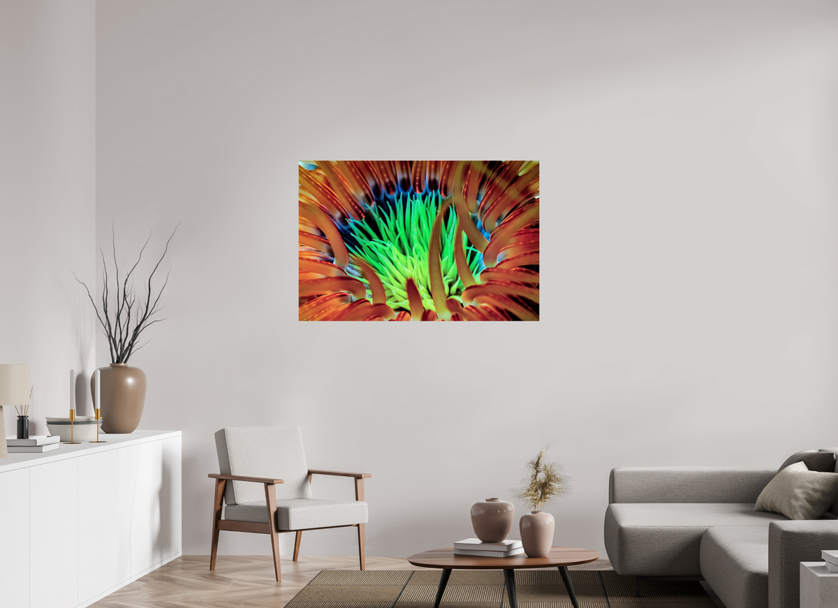 120 x 80 cm, Photo Print On Fuji Crystal DP II United colors