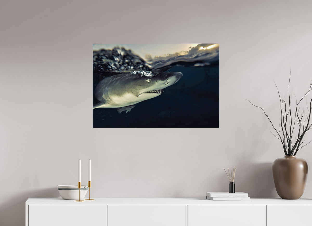 90 x 60 cm, Photo Print On Fuji Crystal DP II Bahamas Spirit