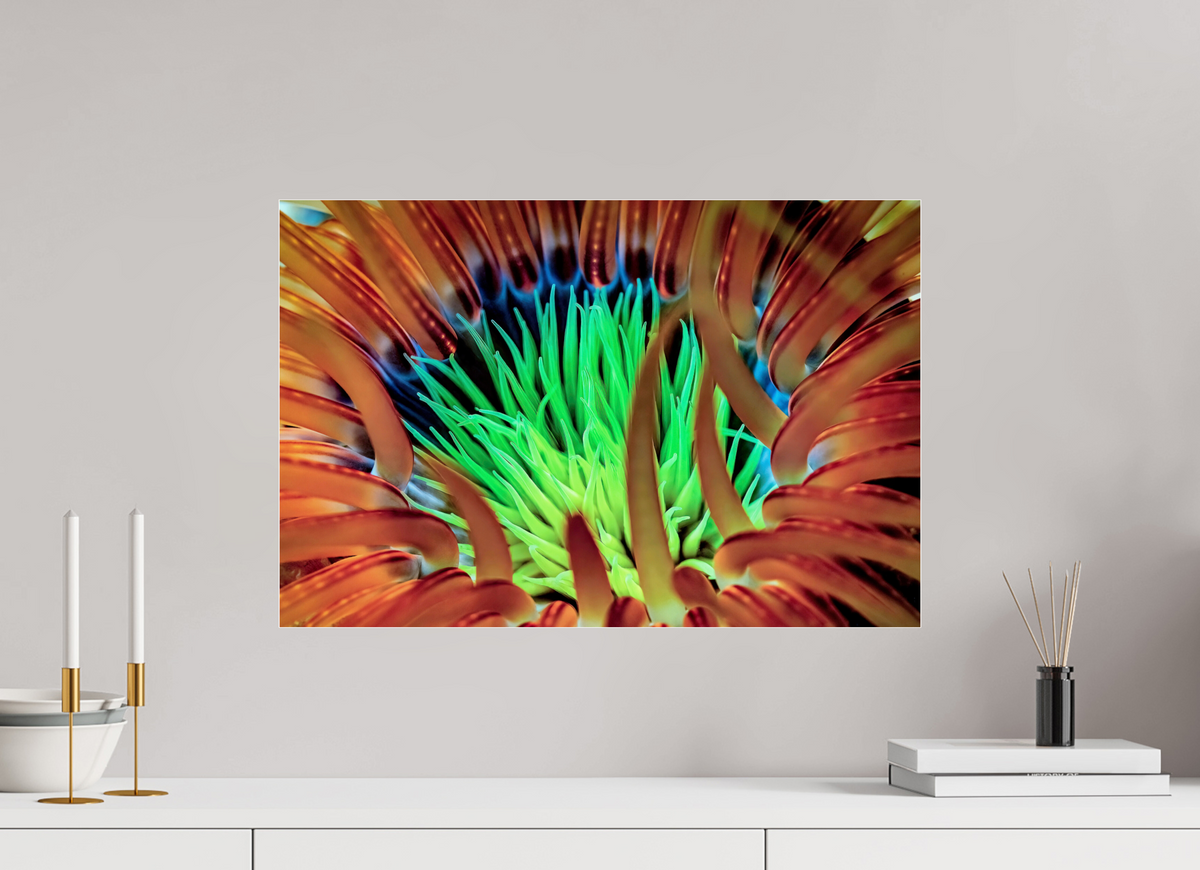 60 x 40 cm, Photo Print Under Acrylic Glass United colors
