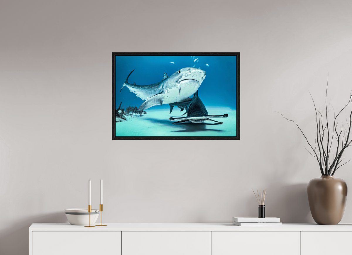 75 x 50 cm, Floater Frame Two queens for a Kingdom