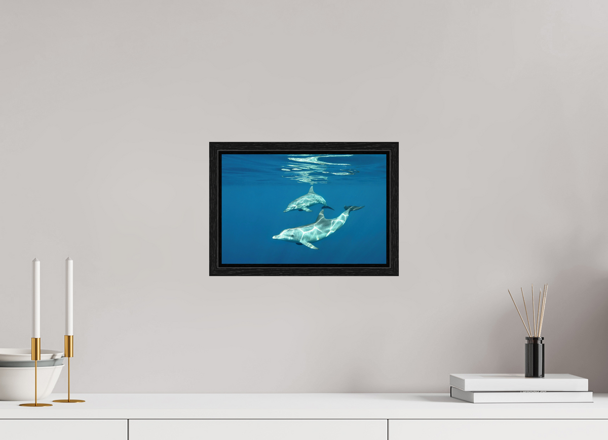 30 x 20 cm, Floater Frame Presentation