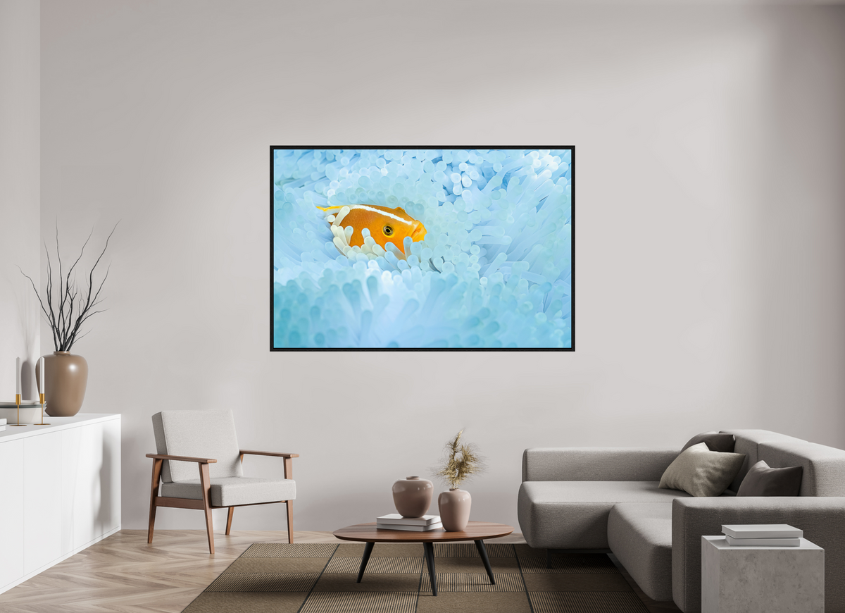 180 x 120 cm, Floater Frame Bleaching