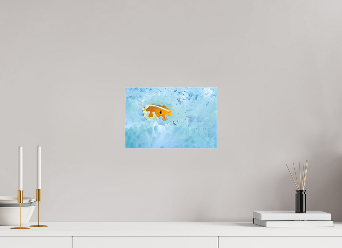 30 x 20 cm, Photo Print Under Acrylic Glass Bleaching
