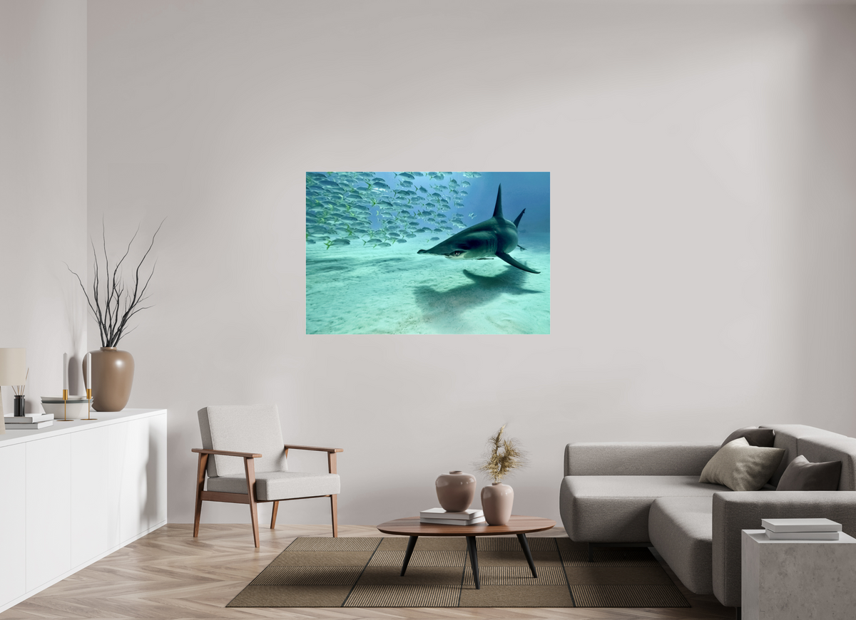 150 x 100 cm, Photo Print Under Acrylic Glass The Shadow