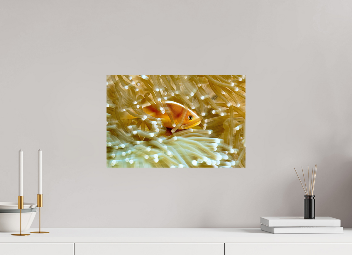 45 x 30 cm, Photo Print On Fuji Crystal DP II Home