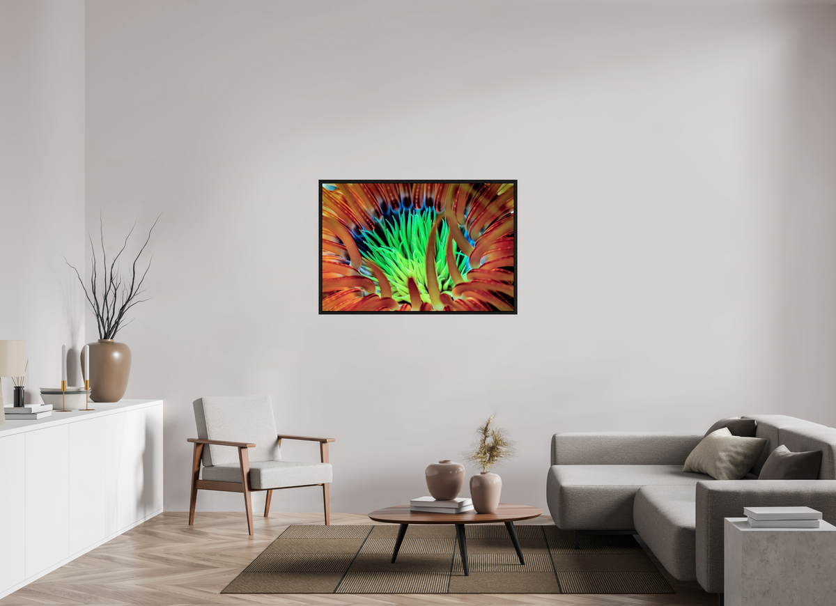 120 x 80 cm, Floater Frame United colors