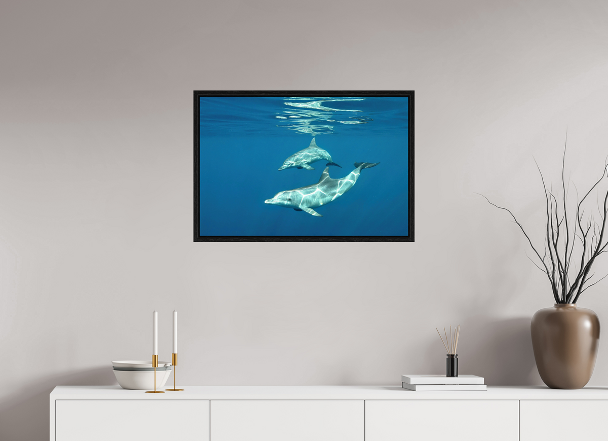 75 x 50 cm, Floater Frame Presentation