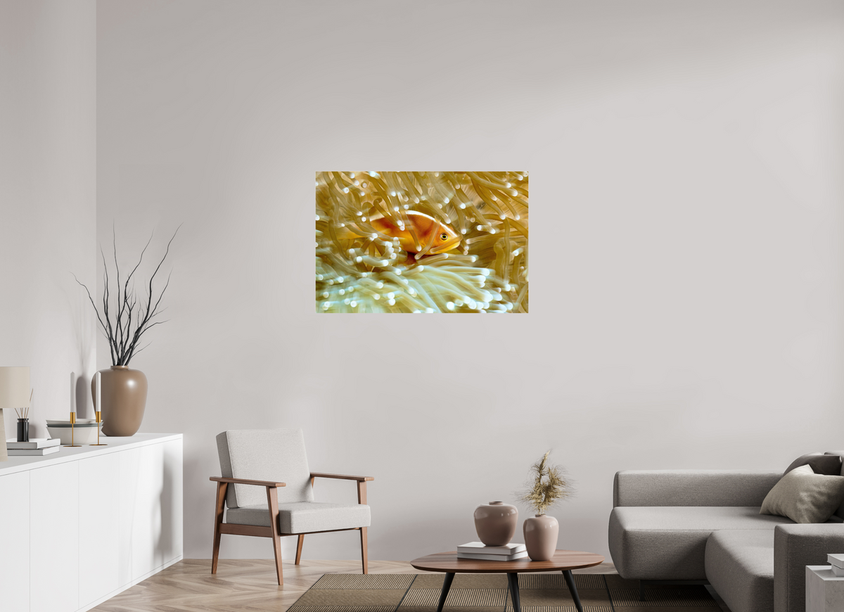 105 x 70 cm, Photo Print Under Acrylic Glass Home